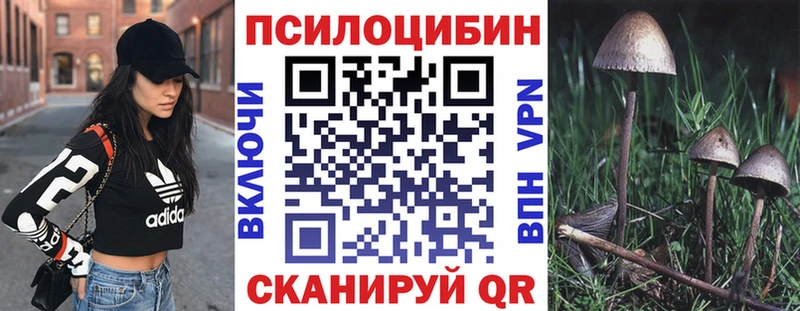 Галлюциногенные грибы Cubensis  Богородск 